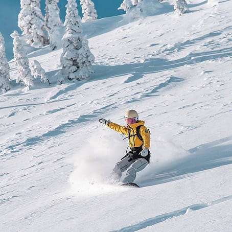 Kunde @_mandyzhu in Montec Moss W 2020 Skijacke Damen Yellow/Black