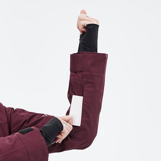 Tasche für den Skipass Hauptdetailproduktbild,